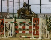 Novella del Castegno TosTour2013- S5 3232 : Arezzo, Arezzo Equestrian Centre, Cavalli d'Italia, Novella del Castegno, Toscana Tour 2013, foto di Stefano Secchi ©